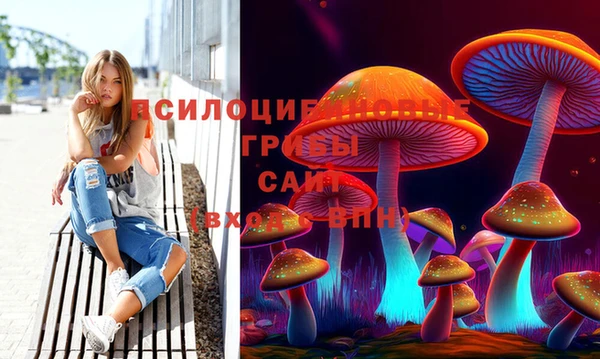 2c-b Краснослободск