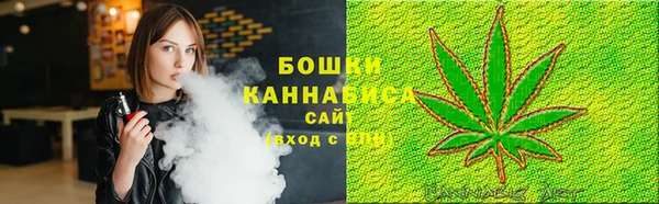 2c-b Краснослободск